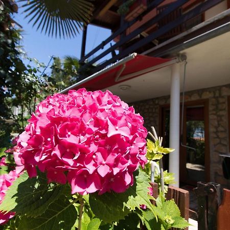 Apartment Paulina Cres Exterior foto
