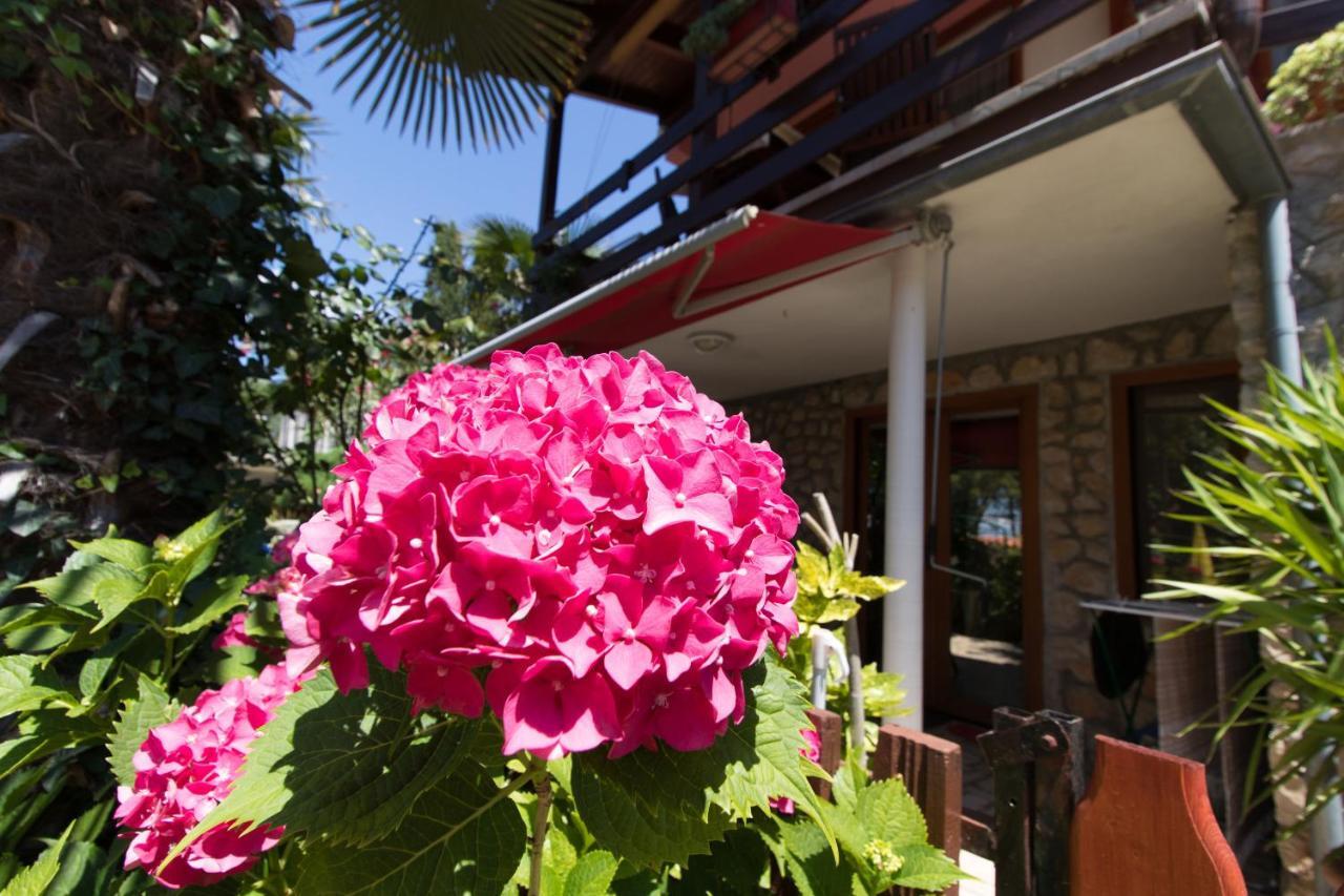 Apartment Paulina Cres Exterior foto